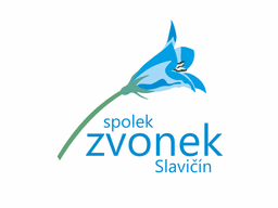 Logo DIKTATURA DEBILOV TOUR